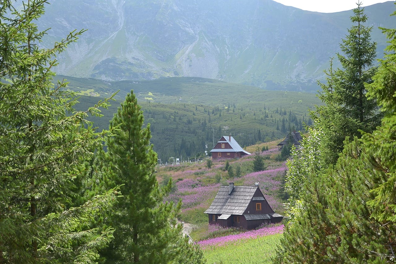 Koniec konnych przewozów nad Morskie Oko?Tatrzański Park Narodowy wstrzymuje nowe licencje