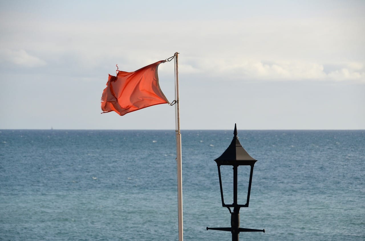 Sinice w Bałtyku. Zobacz najnowsze dane (29.06) – Turystycznie.info Sinice w Bałtyku. Zobacz najnowsze dane (29.06)