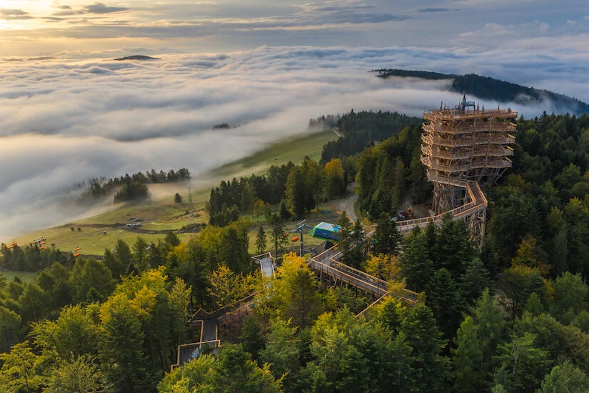 400 zł za rodzinę?! Ceny na wieży w Krynicy oburzają turystów