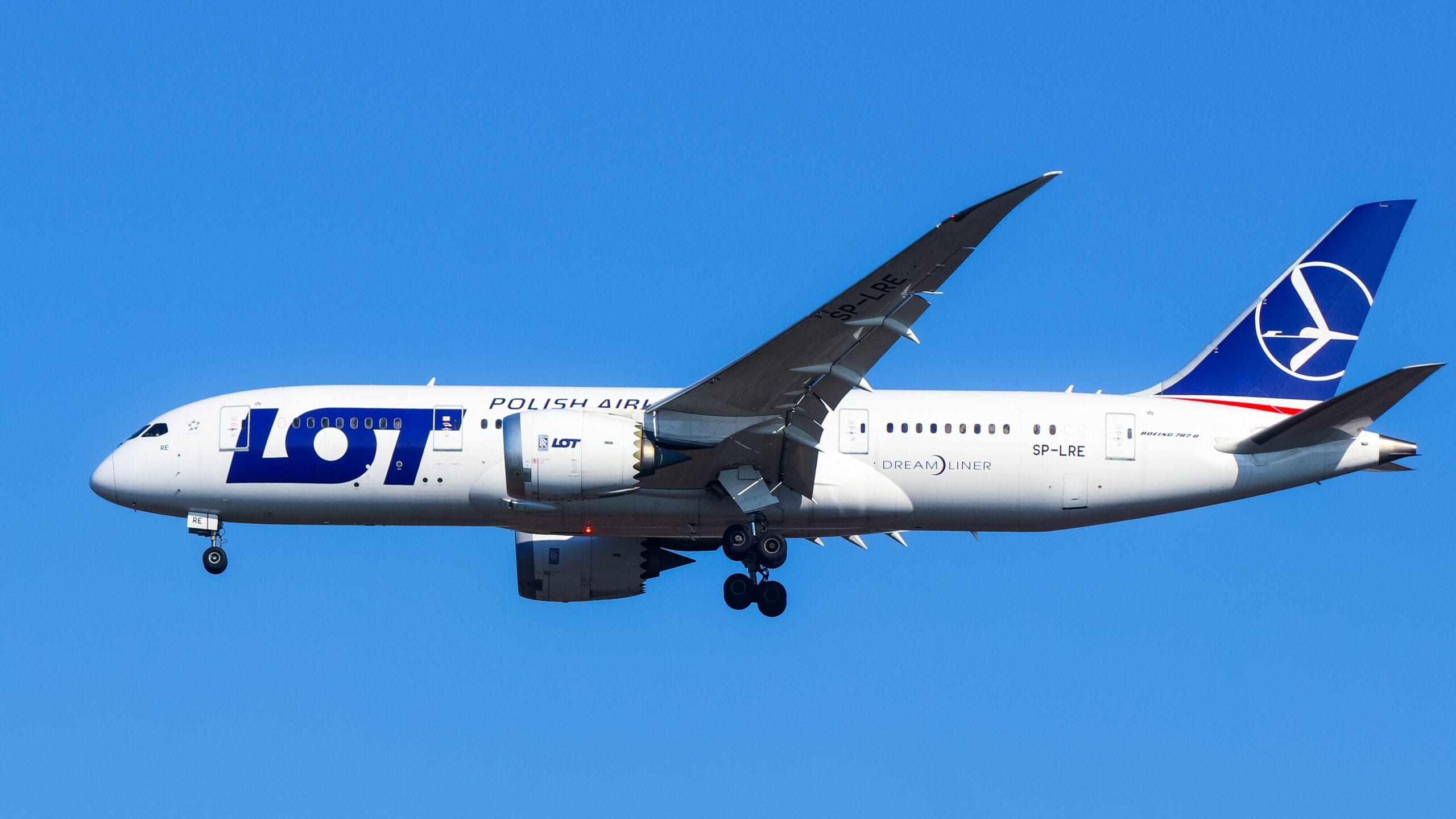 PLL LOT ujawniają. Te trasy są hitem tegorocznych wakacji