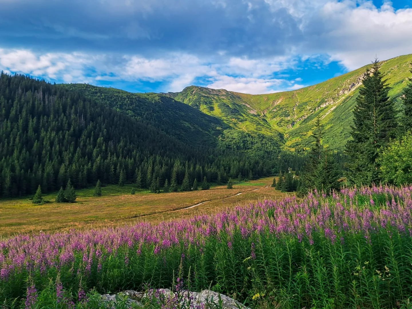 Różowe Tatry. To jedyny czas, kiedy można je zobaczyć