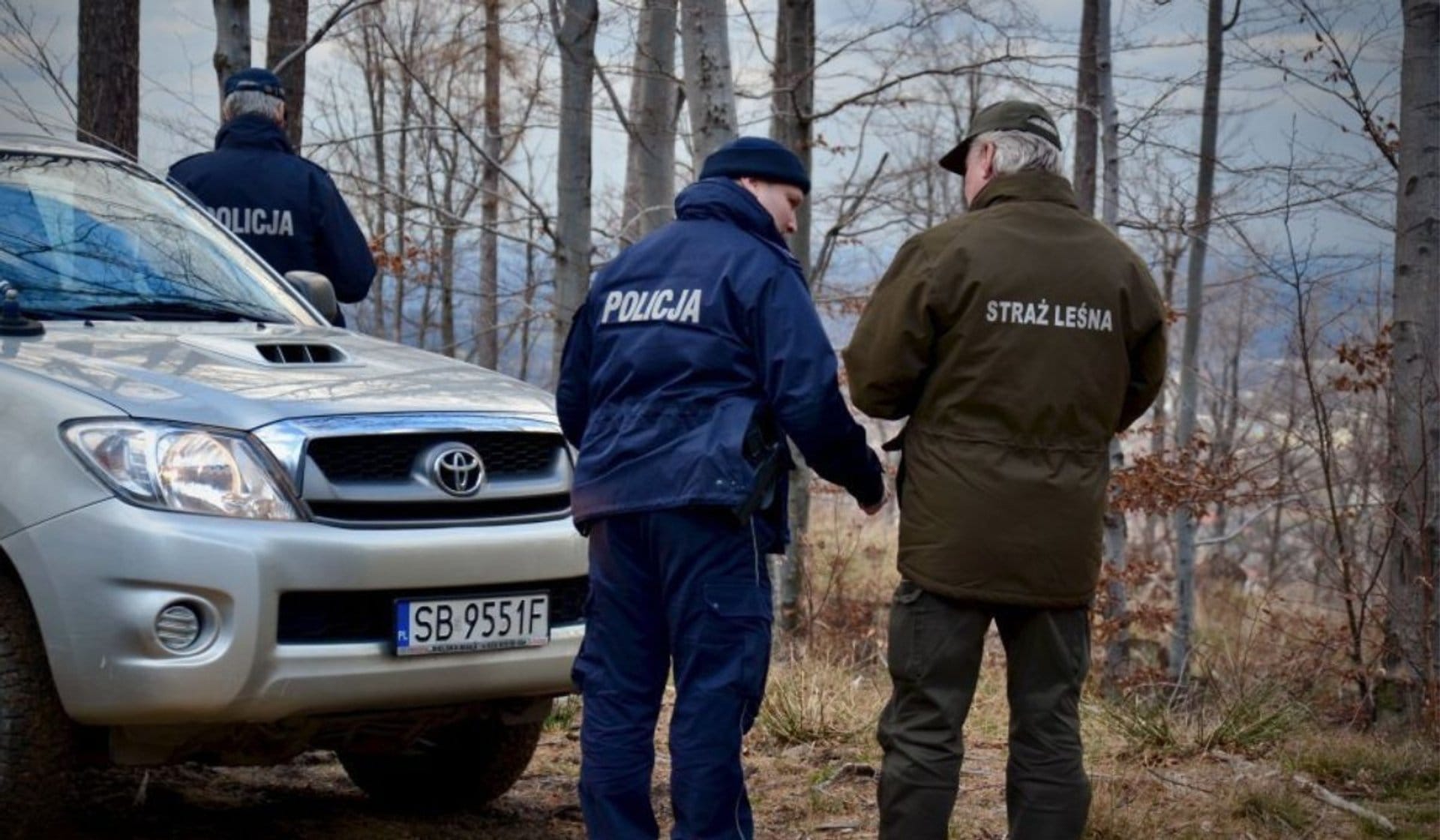 Lasy Państwowe oskarżone o nielegalną wycinkę! Greenpeace alarmuje