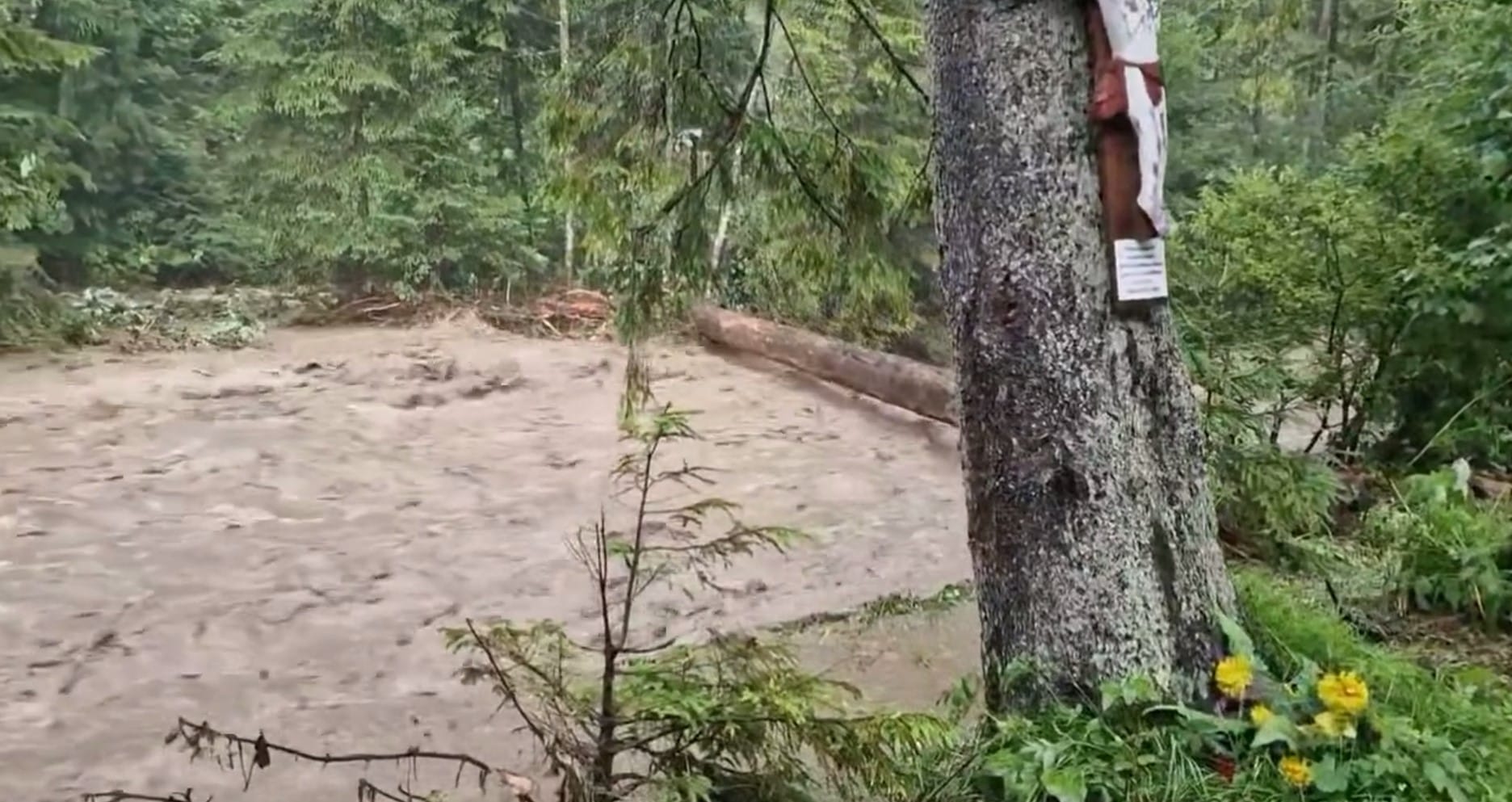 Katastrofa w Tatrach. Lawina błotna uderza w schronisko. Są ofiary