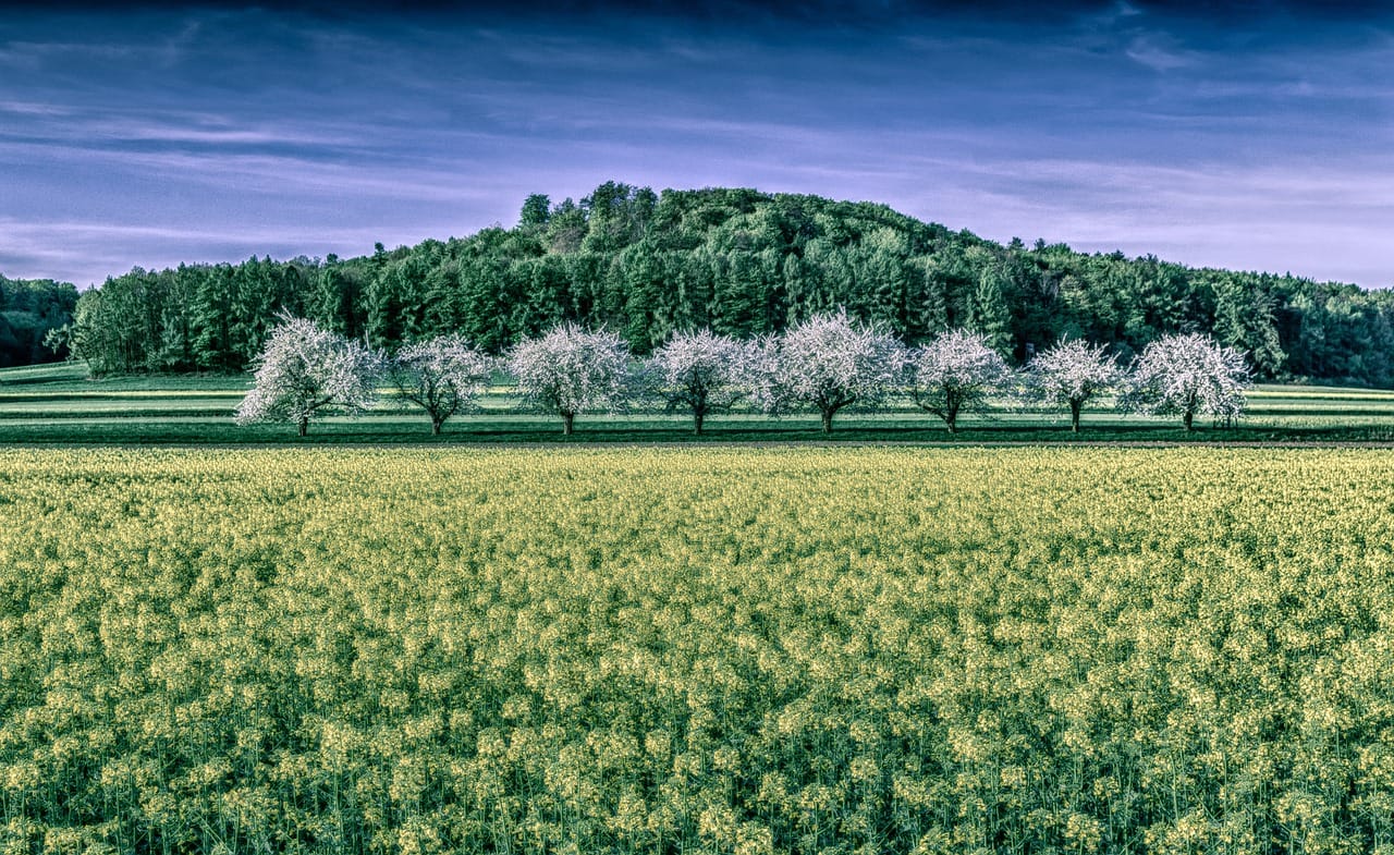 Turyści szaleją na punkcie tego miejsca. W tym regionie działa najwięcej uzdrowisk w Polsce