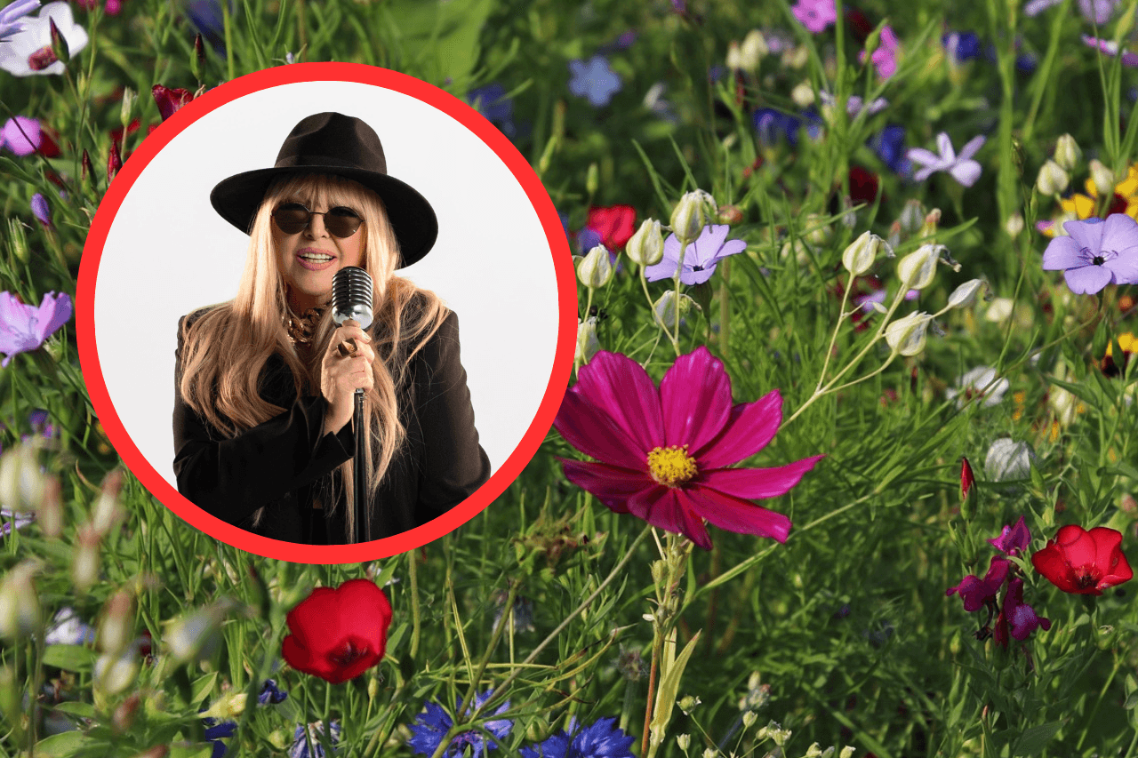 Nie uwierzycie, gdzie Maryla Rodowicz spędza wakacje. To nie jest miejsce, którego się spodziewacie