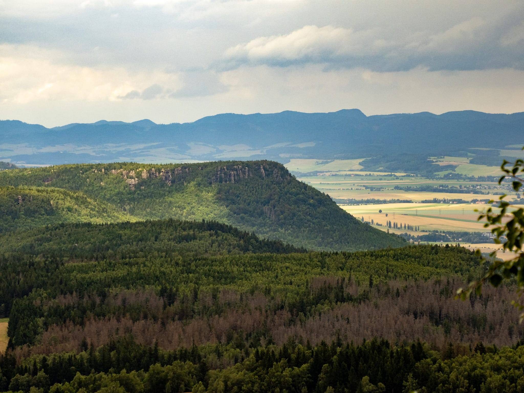 Wielkie święto Lasów Państwowych. 100 nowych rezerwatów przyrody na stulecie istnienia