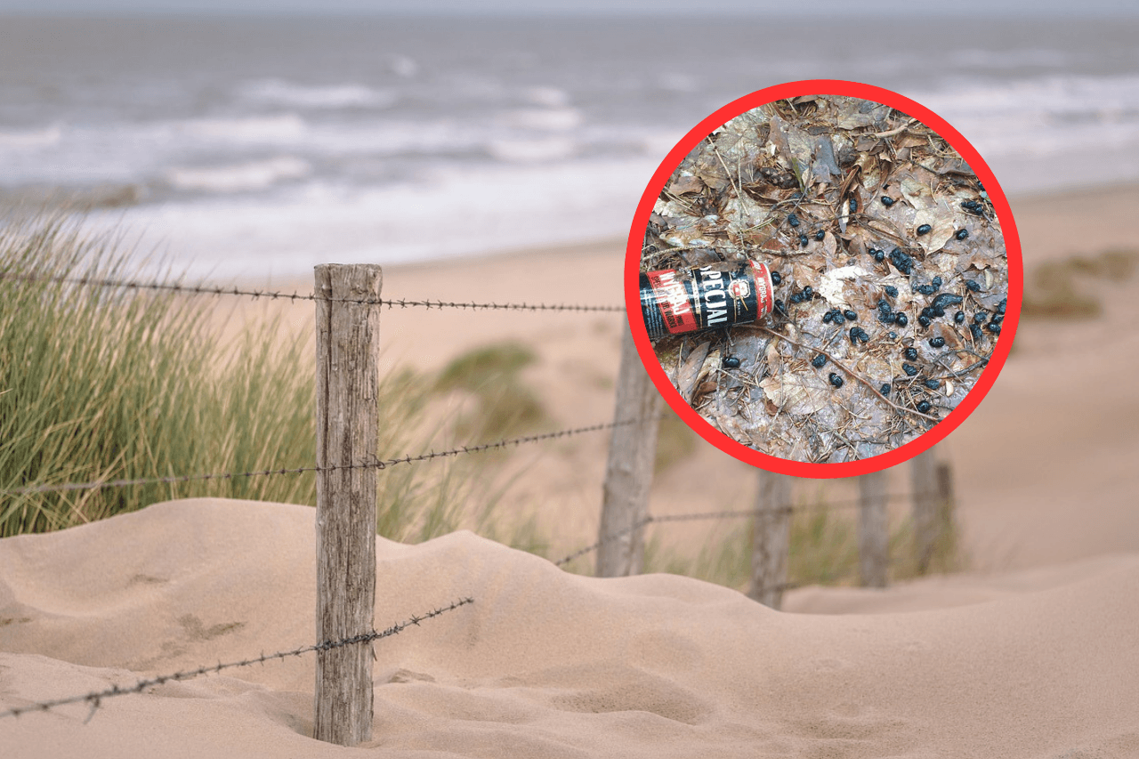 Nie bagatelizuj tego. Twoje śmieci mogą być śmiertelną pułapką