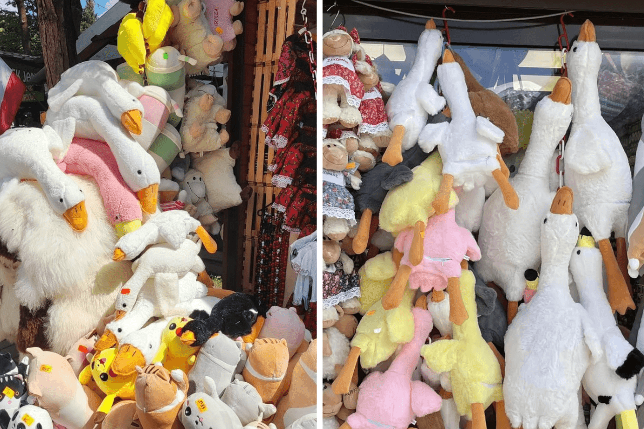 “Gęś Pipa” nie żyje! Gąsior, który podbił serca tysięcy Polaków, zmarł po zatruciu