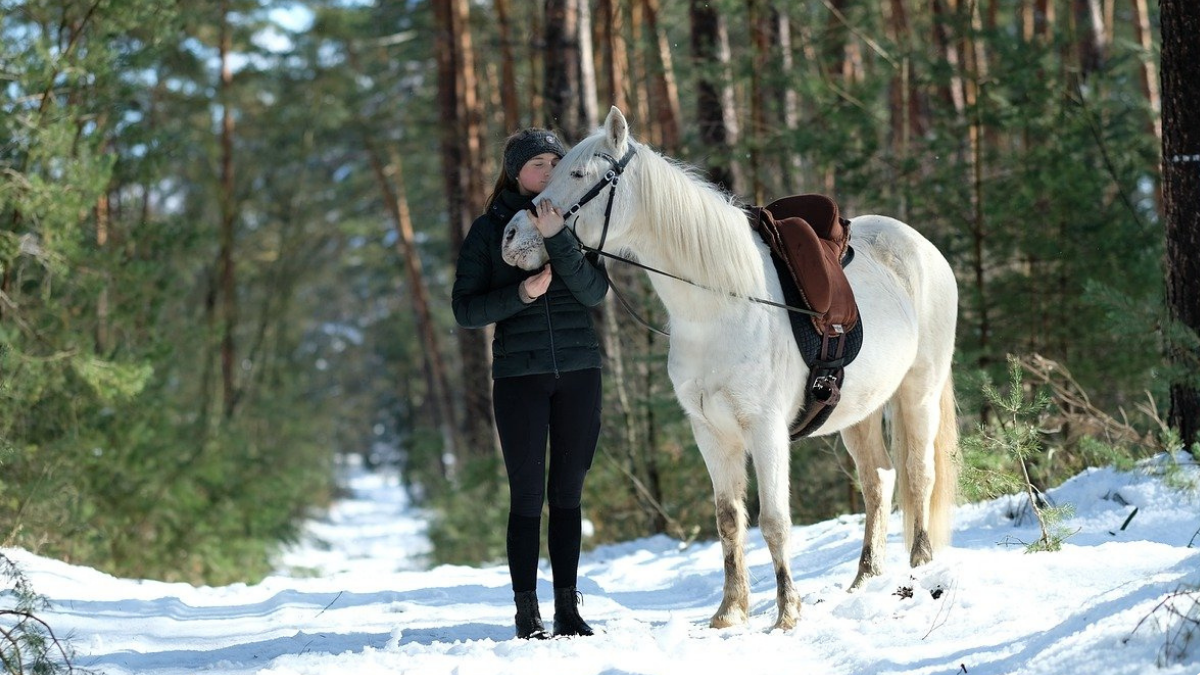 Skandal na Podhalu? Nagranie z saniami wywołało burzę