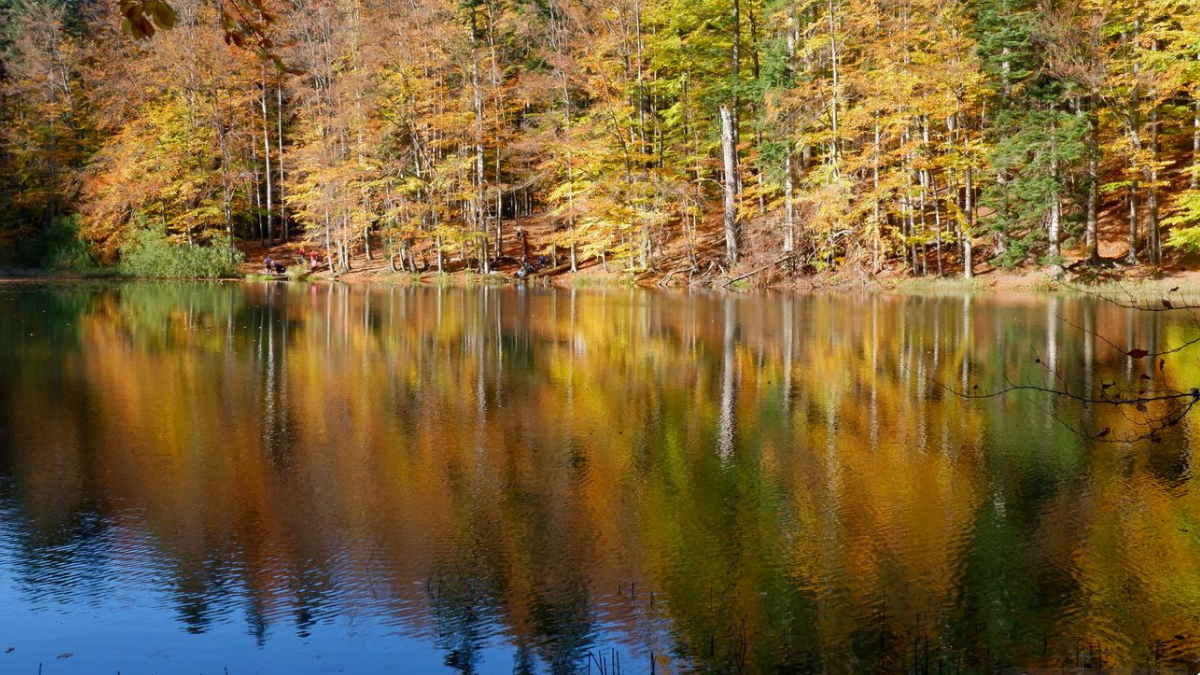 Turyści oszaleją. Rezerwat Zwiezło urósł do 484 ha