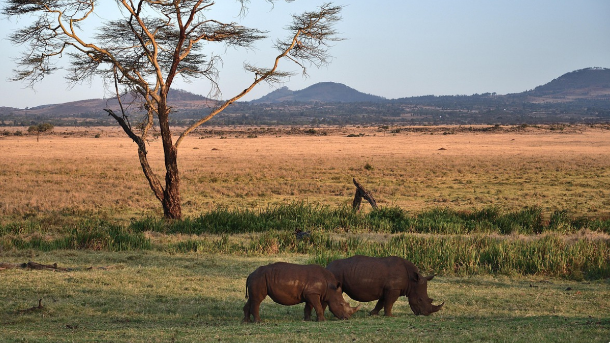 Wielki huk w Kenii. Kosmiczny pierścień spadł na wioskę
